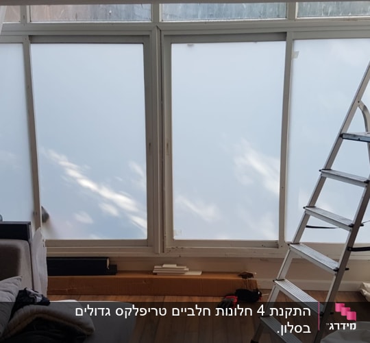 חלונות זכוכית חלבית עם סולם מתכת לידם